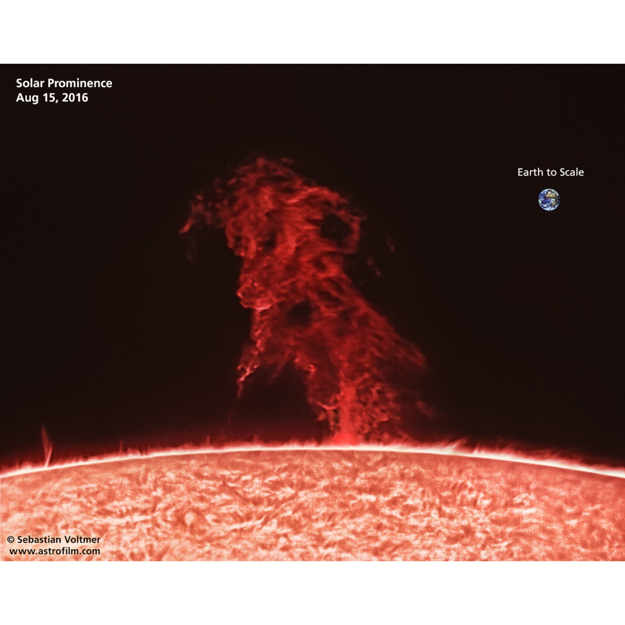 Omegon Pro APO AP 104/650 ED Triplet Refractor OTA