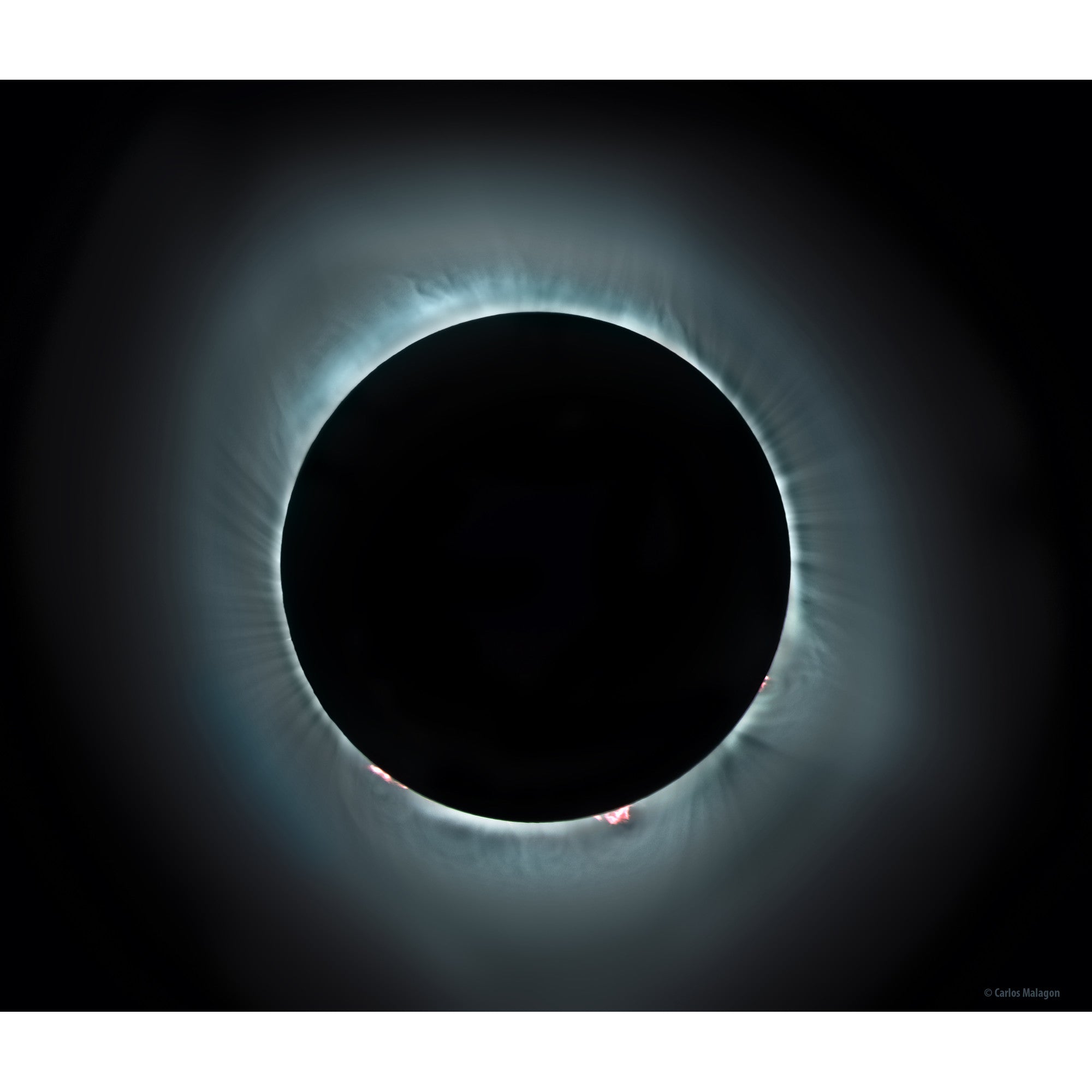 Omegon Pro APO AP 80/500 ED Carbon Apochromatic Refractor OTA